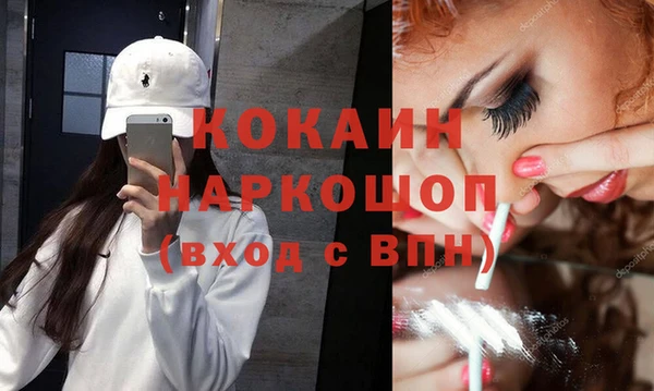 гашик Новозыбков