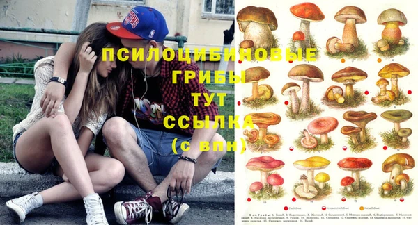кокаин колумбия Алзамай