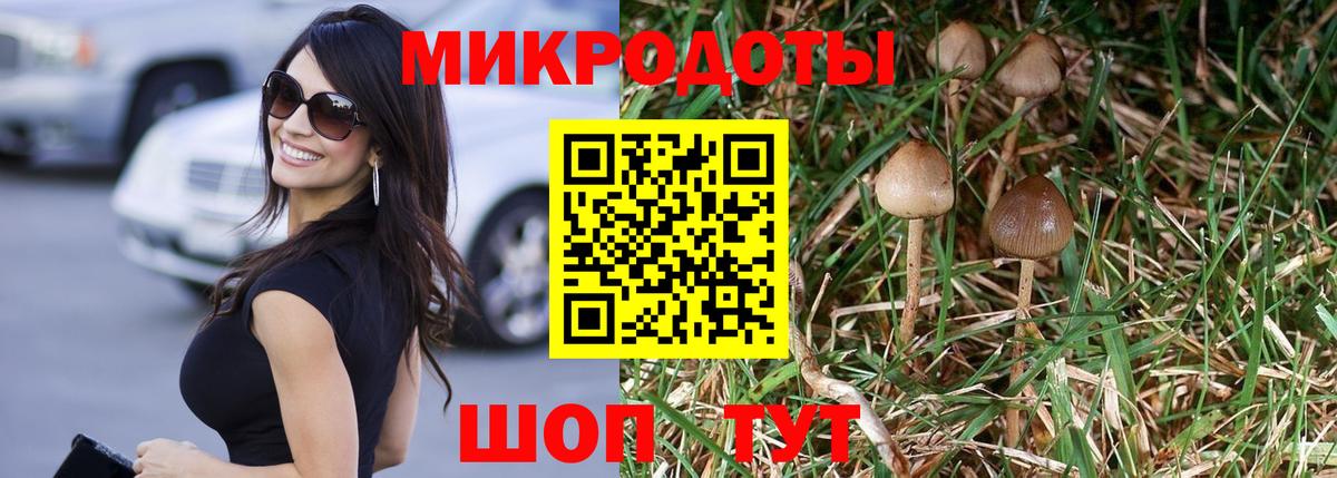 Череповец  Галлюциногенные грибы Psilocybe  Вход с VPN 